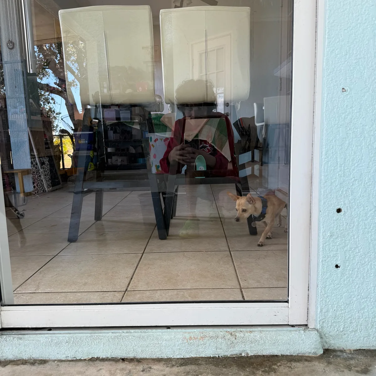 Ducky Windows job photo
