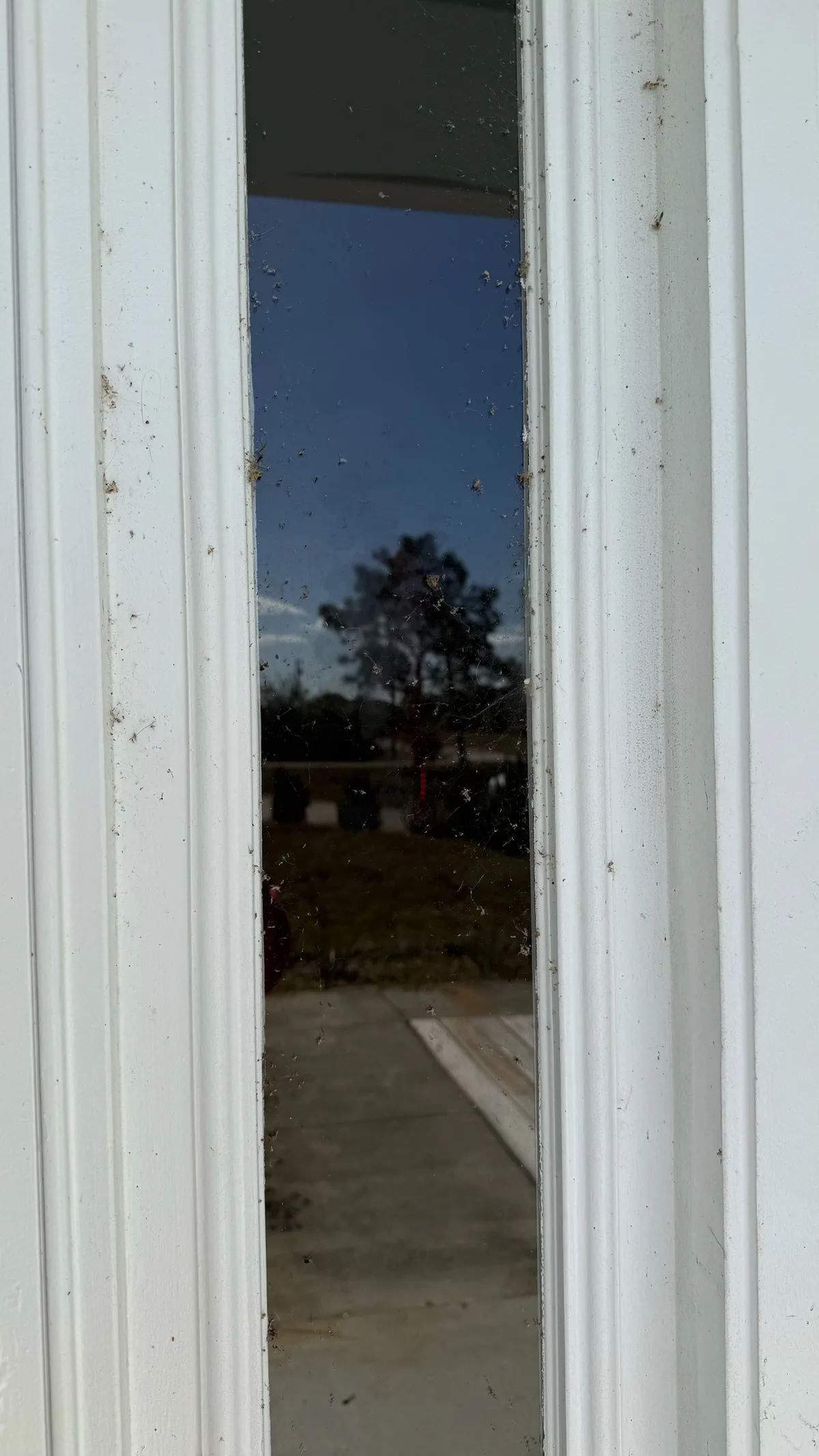 Ducky Windows job photo