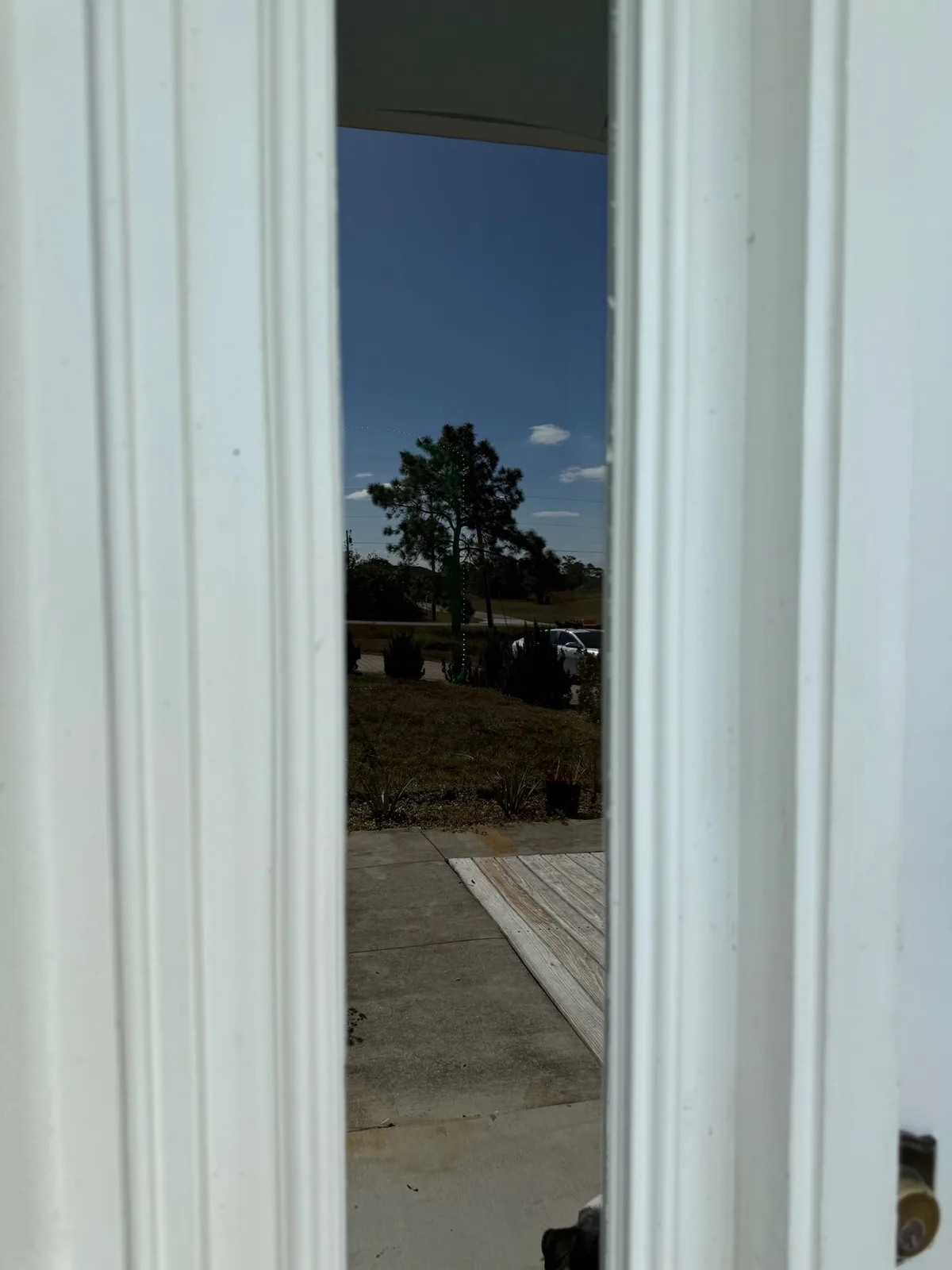 Ducky Windows job photo